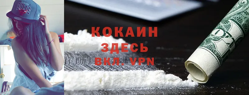 Cocaine VHQ  ссылка на мегу tor  Гдов  купить наркотики цена 