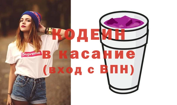 крисы Надым