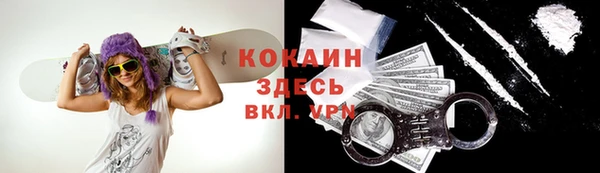крисы Надым