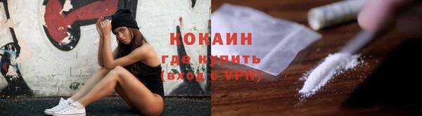 крисы Надым