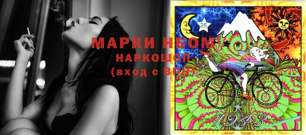 крисы Надым