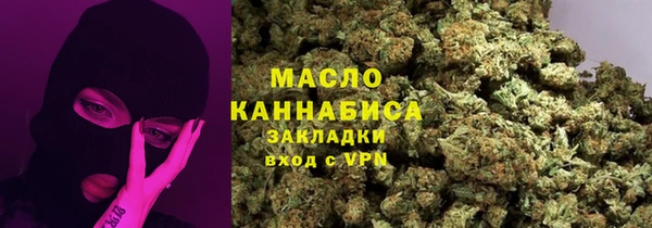 крисы Надым