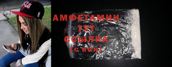 крисы Надым