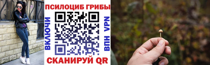 как найти Гдов Галлюциногенные грибы GOLDEN TEACHER